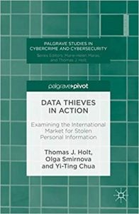 Data Thieves in Action bookcover